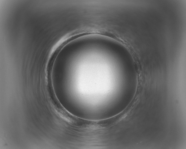X0000079330246200611251838