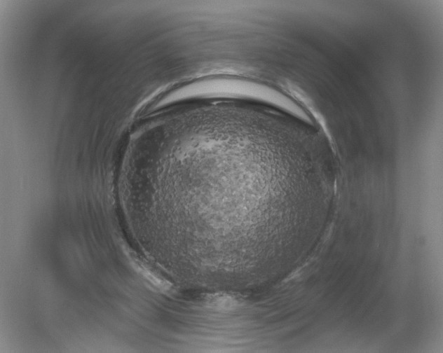 X0000079330249200611251838