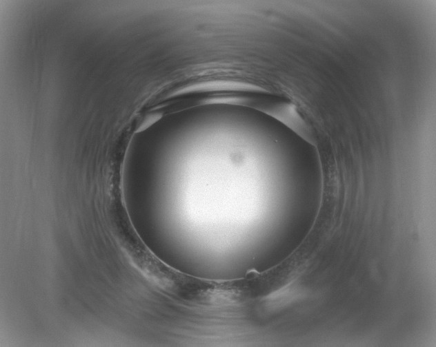 X0000079330255200611251838