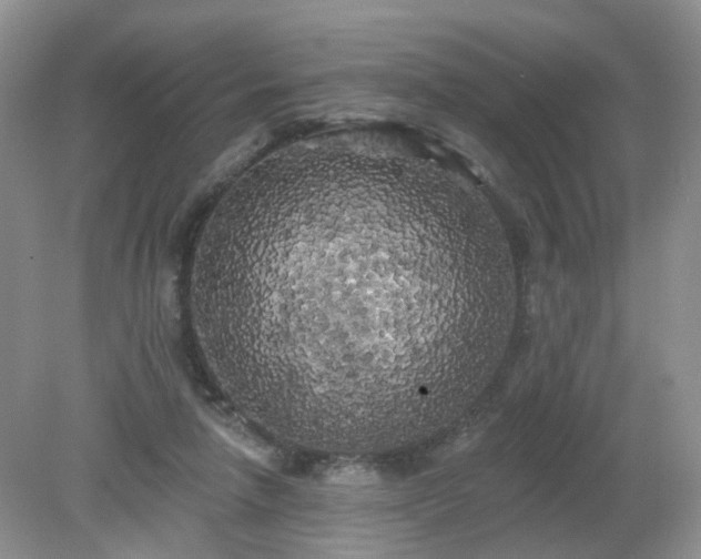 X0000079330258200611251838
