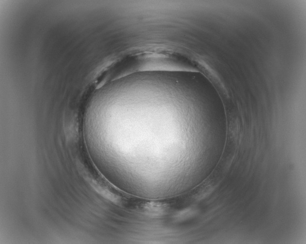 X0000079330261200611251838