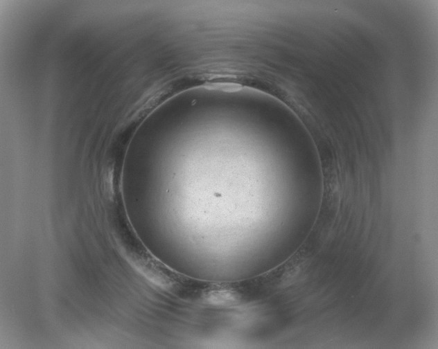 X0000079330262200611251838