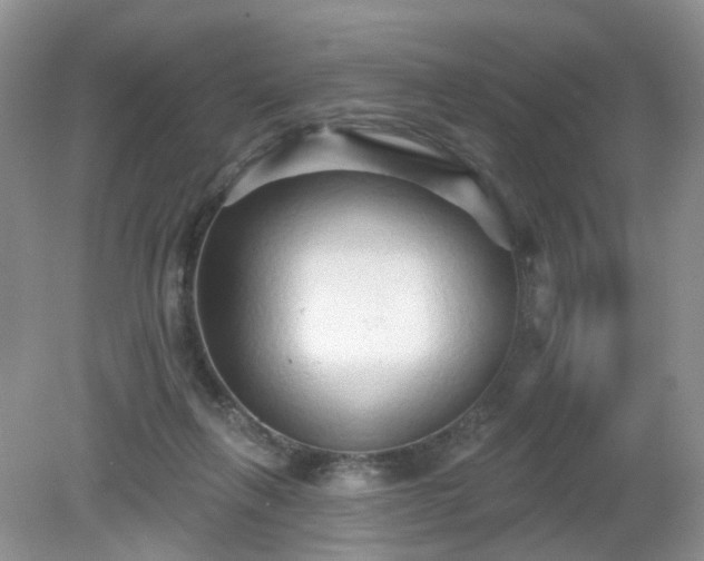 X0000079330263200611251838