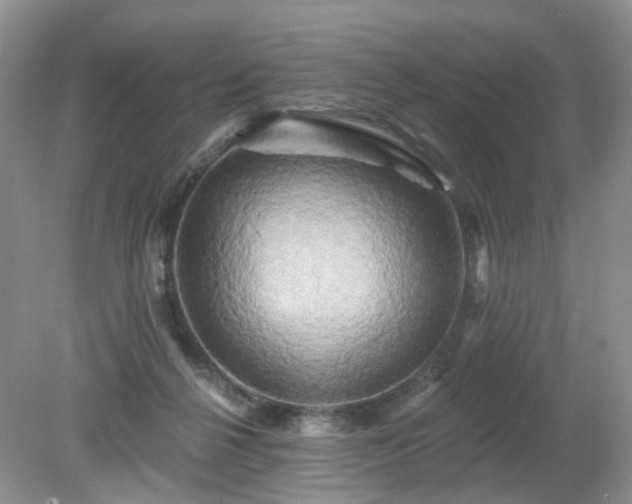 X0000079330264200611251838