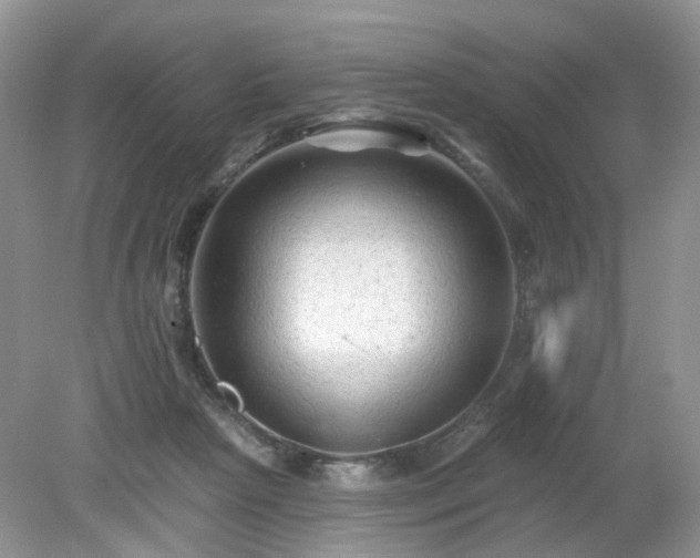 X0000079330265200611251838
