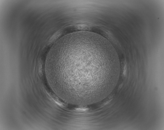X0000079330266200611251838