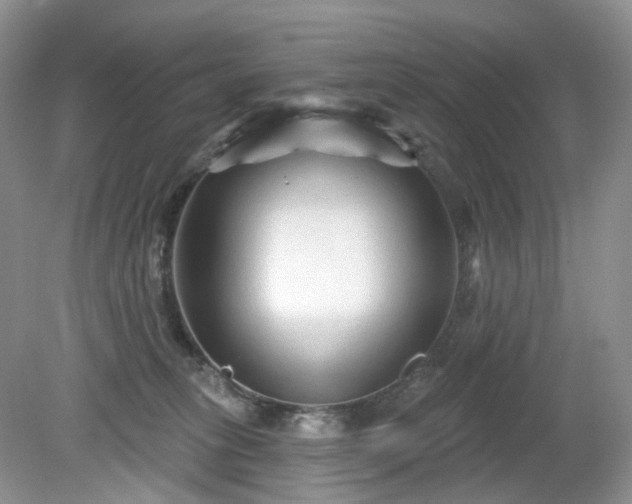 X0000079330275200611251839