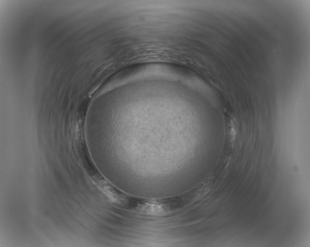 X0000079330276200611251839