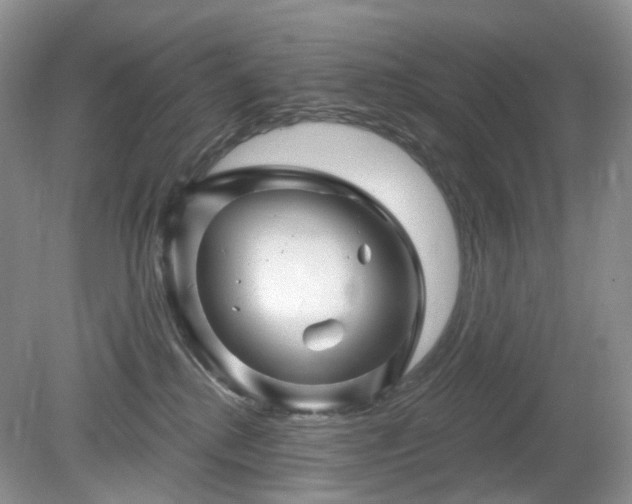 X0000079330280200611251839