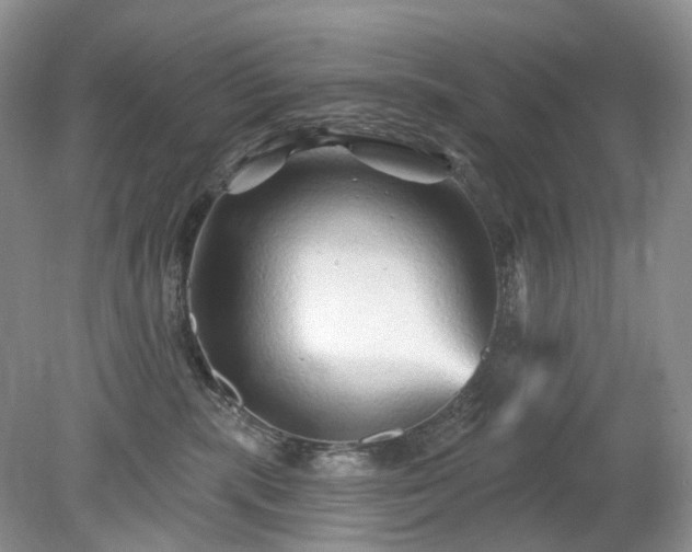 X0000079330283200611251839