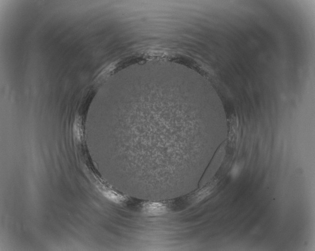 X0000079330287200611251839