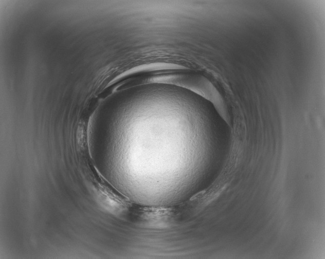 X0000079330288200611251839