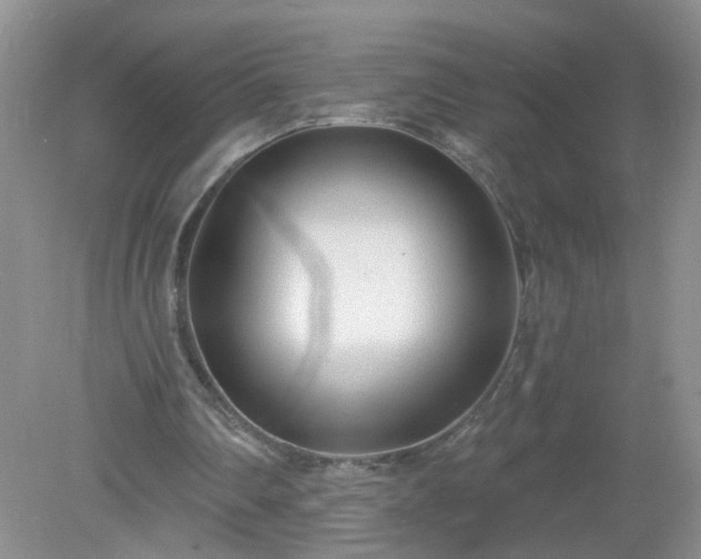 X0000079330290200611251838