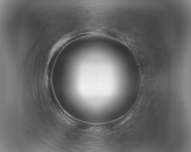 X0000079330294200611251838