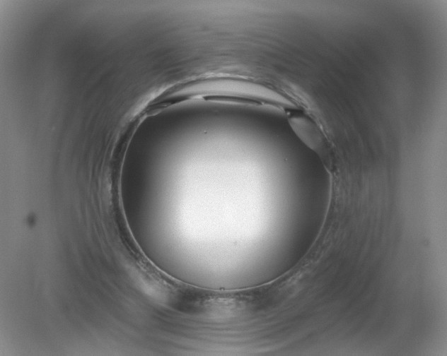 X0000079330298200611251838