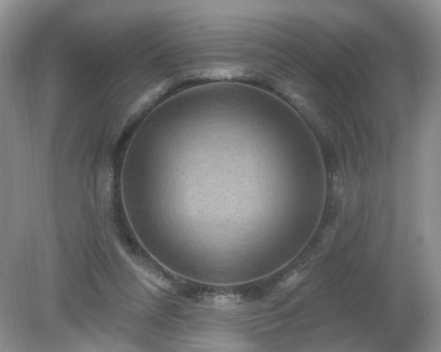 X0000079330304200611251838