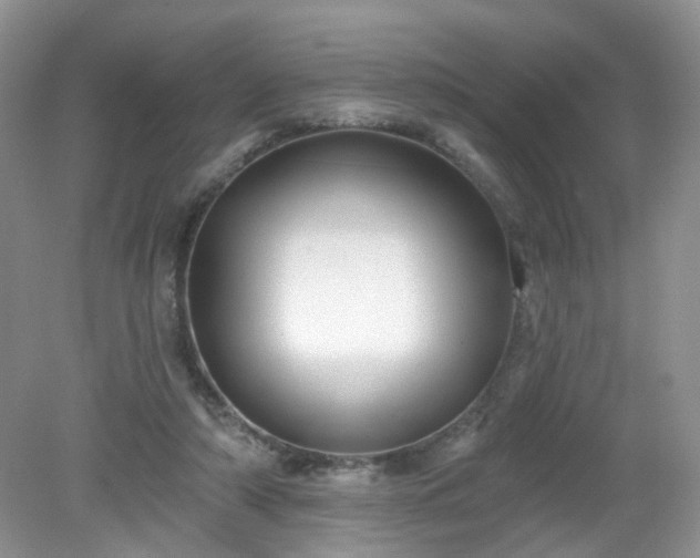 X0000079330306200611251838