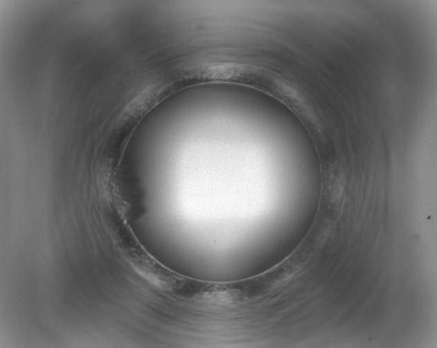 X0000079330307200611251838