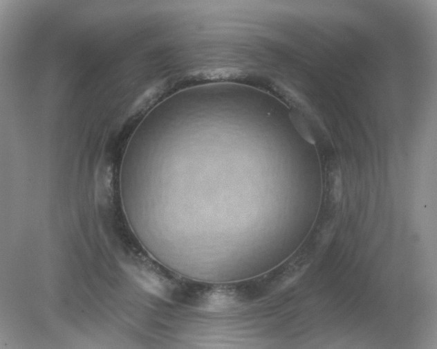 X0000079330308200611251838