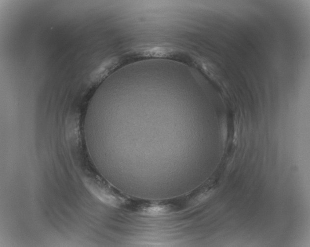 X0000079330312200611251838