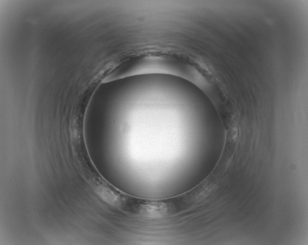 X0000079330317200611251838