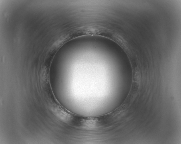 X0000079330318200611251838