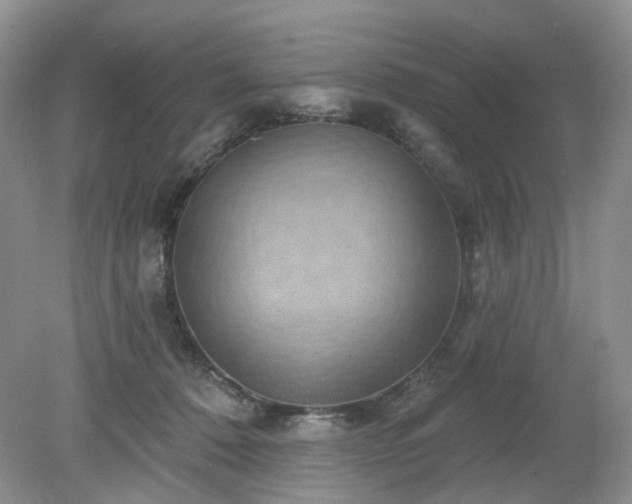 X0000079330320200611251838