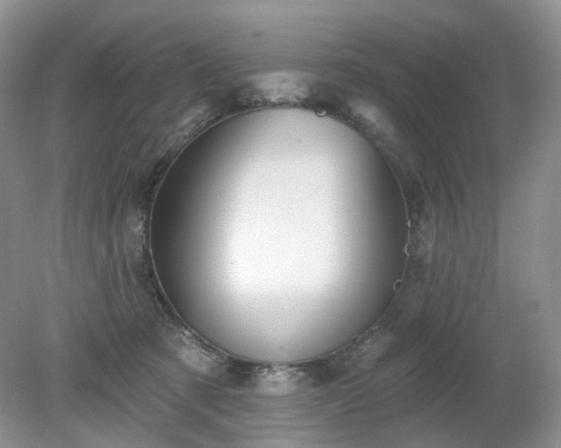 X0000079330321200611251837