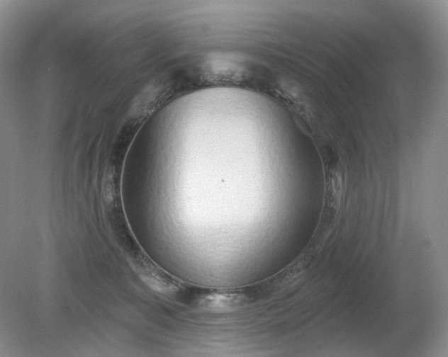 X0000079330323200611251837