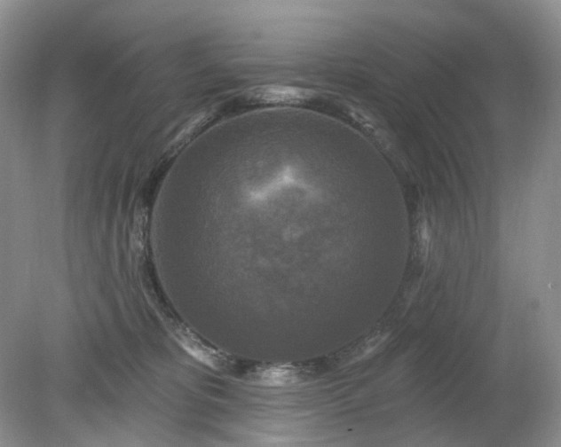 X0000079330325200611251837