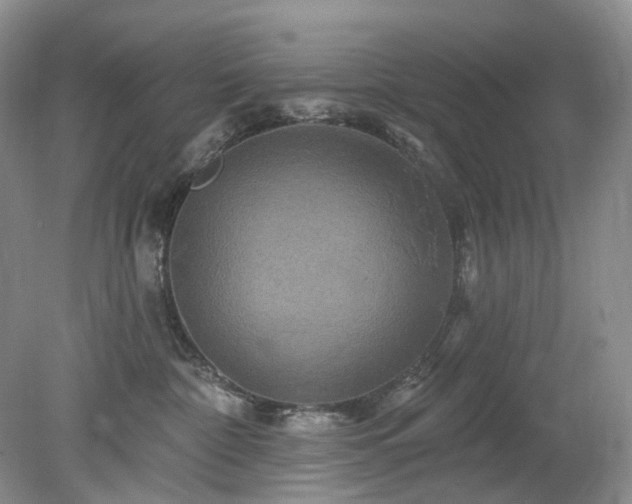 X0000079330332200611251837