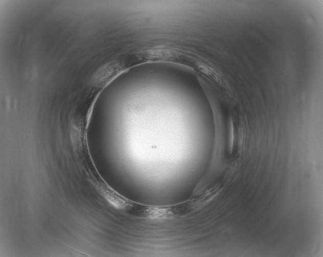 X0000079330333200611251837