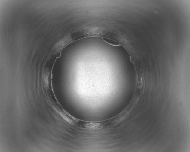 X0000079330334200611251837