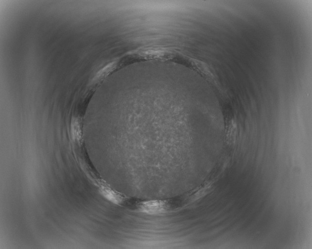 X0000079330335200611251837