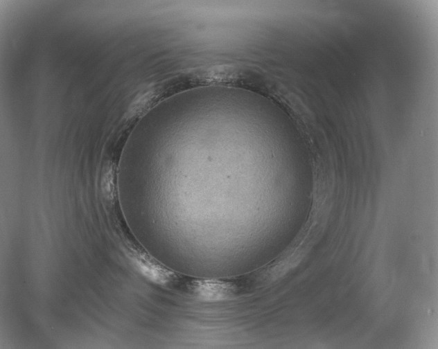 X0000079330336200611251837