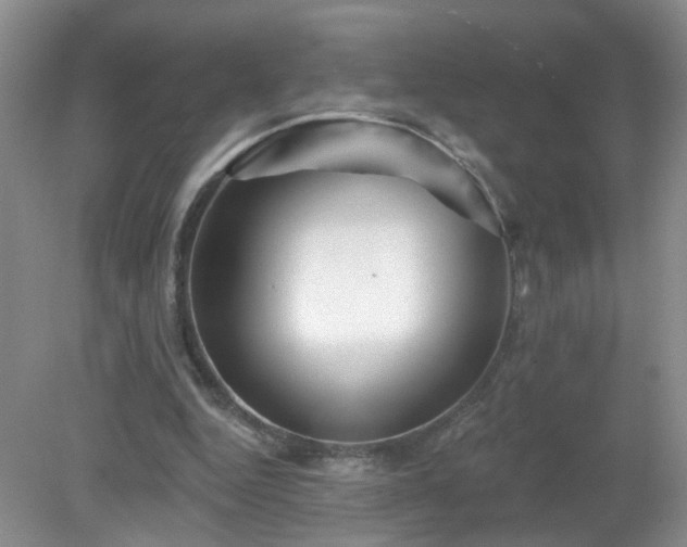 X0000079330344200611251837