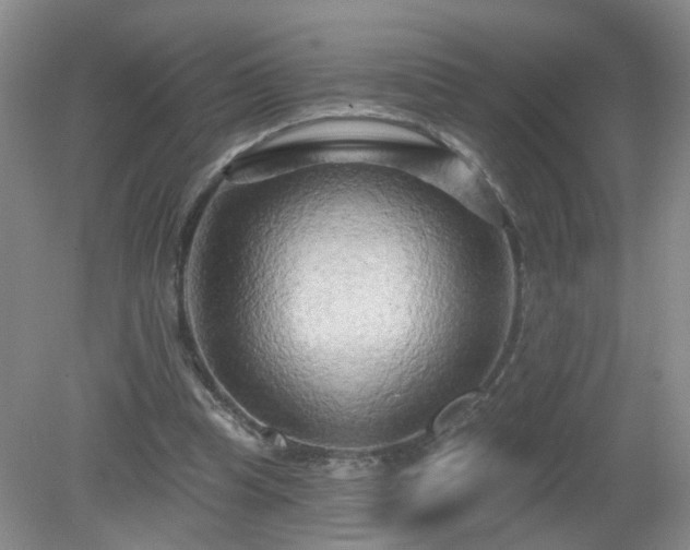 X0000079330345200611251837