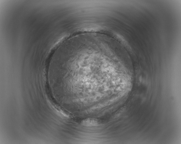 X0000079330354200611251837