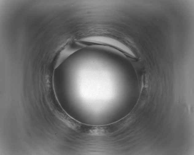 X0000079330362200611251837