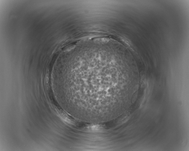 X0000079330365200611251837