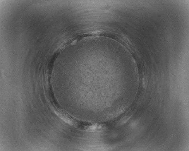 X0000079330366200611251837