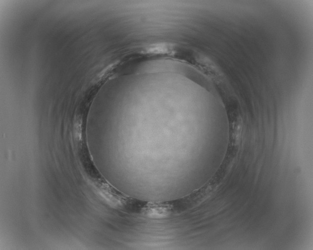 X0000079330368200611251837