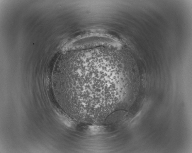 X0000079330371200611251837