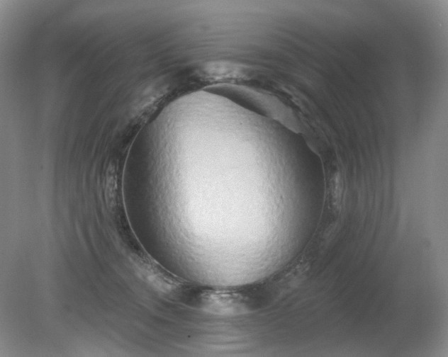 X0000079330372200611251837