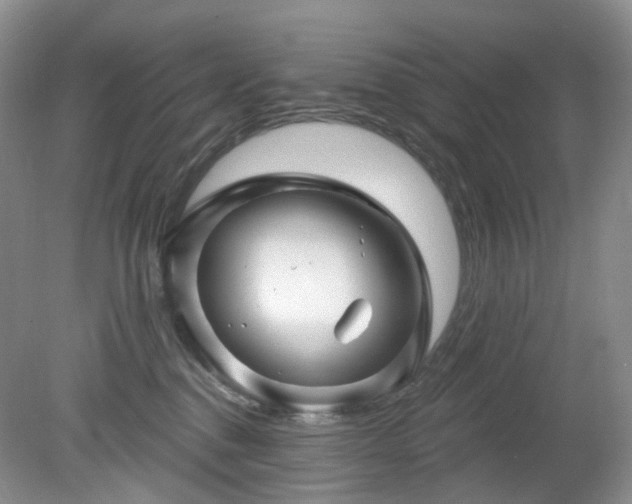 X0000079330376200611251837