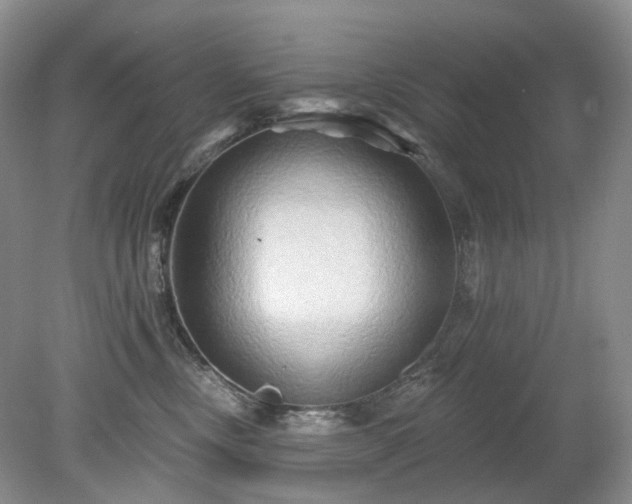 X0000079330378200611251837