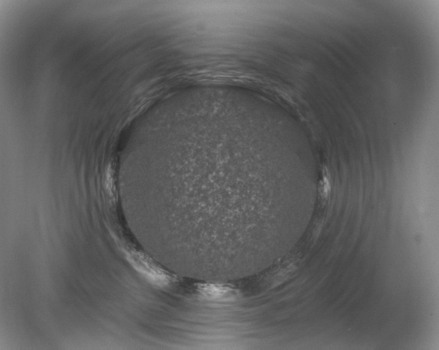 X0000079330380200611251837