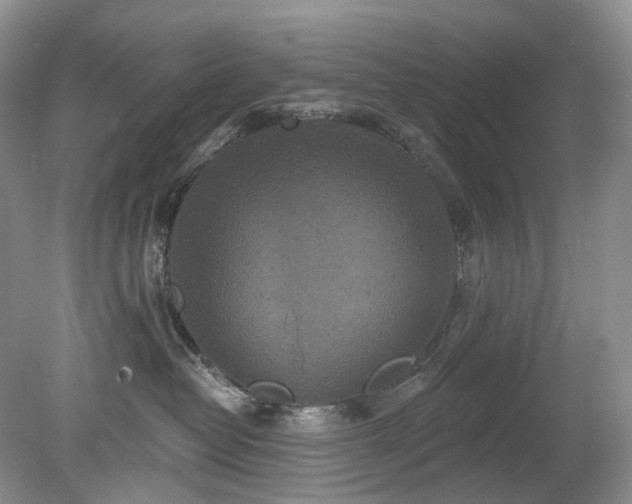 X0000079330382200611251837