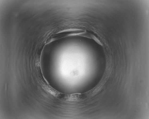 X0000079330384200611251837