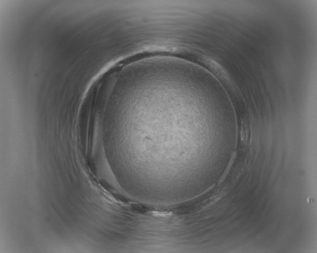 X0000079330388200611251836